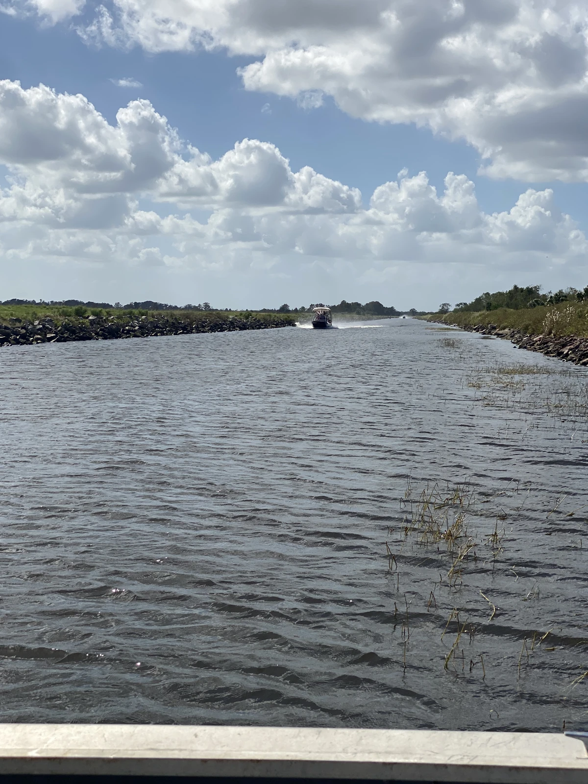Gator Swamp Boat Tour