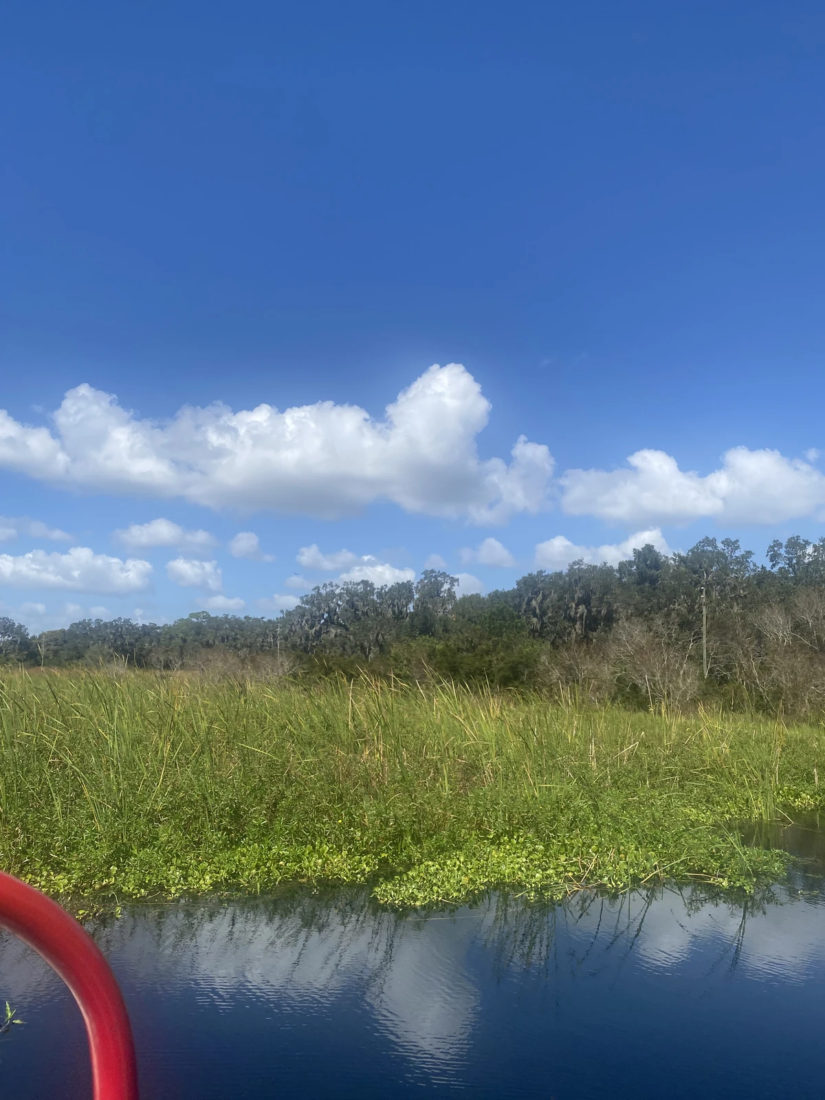 Gator Swamp Boat Tour