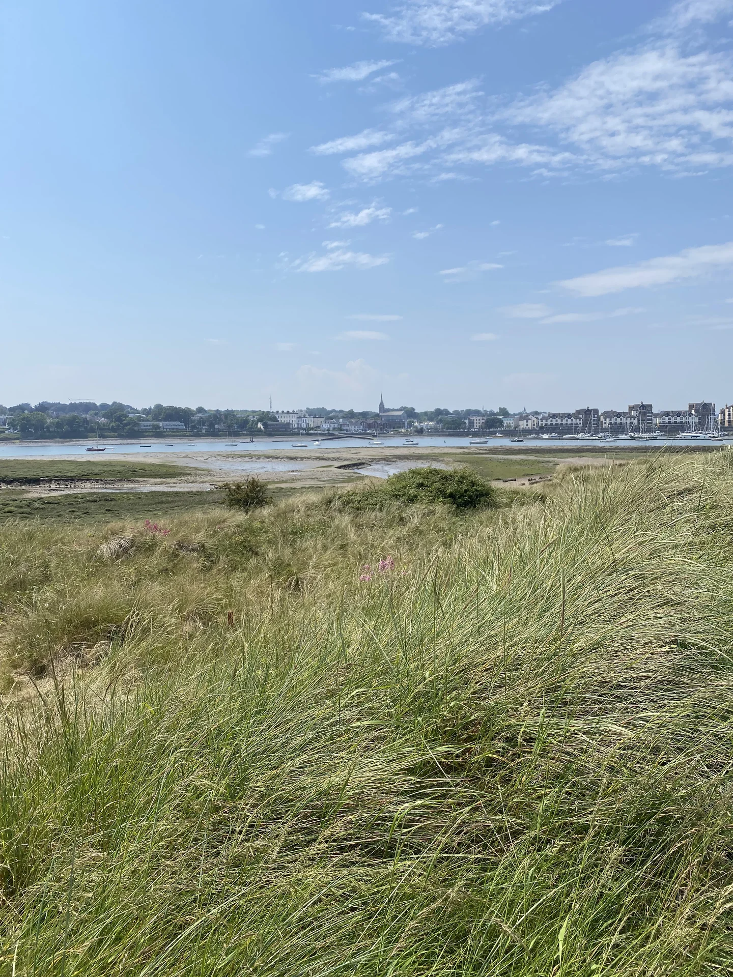 The Island Golf Club